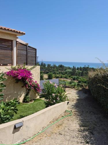 Solenzara House | Casa Peppina - Chez Tonio et Sylvie