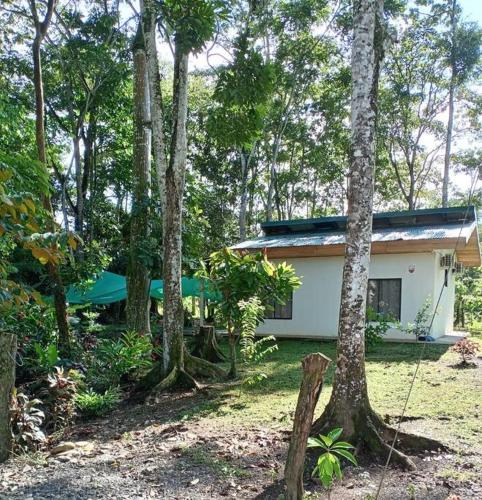 Florencia House | Casa perezoso