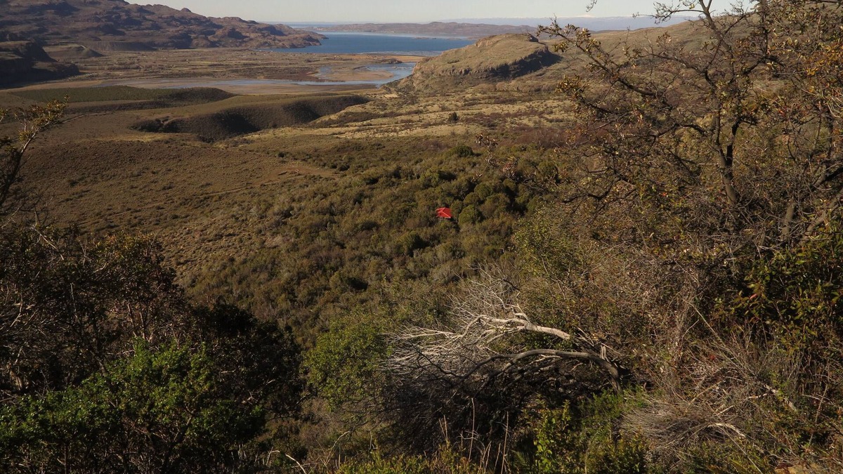 Puerto Aysen Cabin | Casa Piedra Shelter