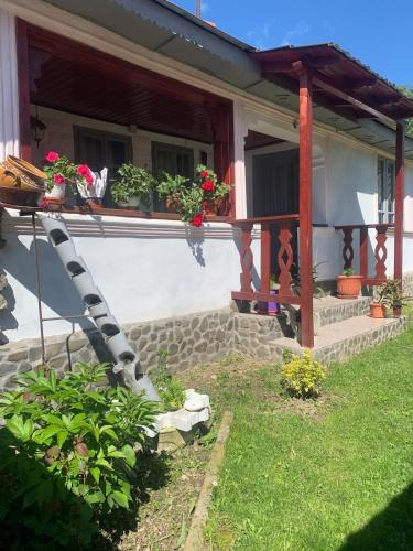 Vidra House | Casa Putna