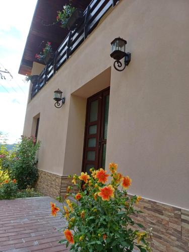 Novaci House | Casa Radu