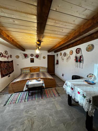 Suncuius Cabin | Casa Radu - Zece Hotare