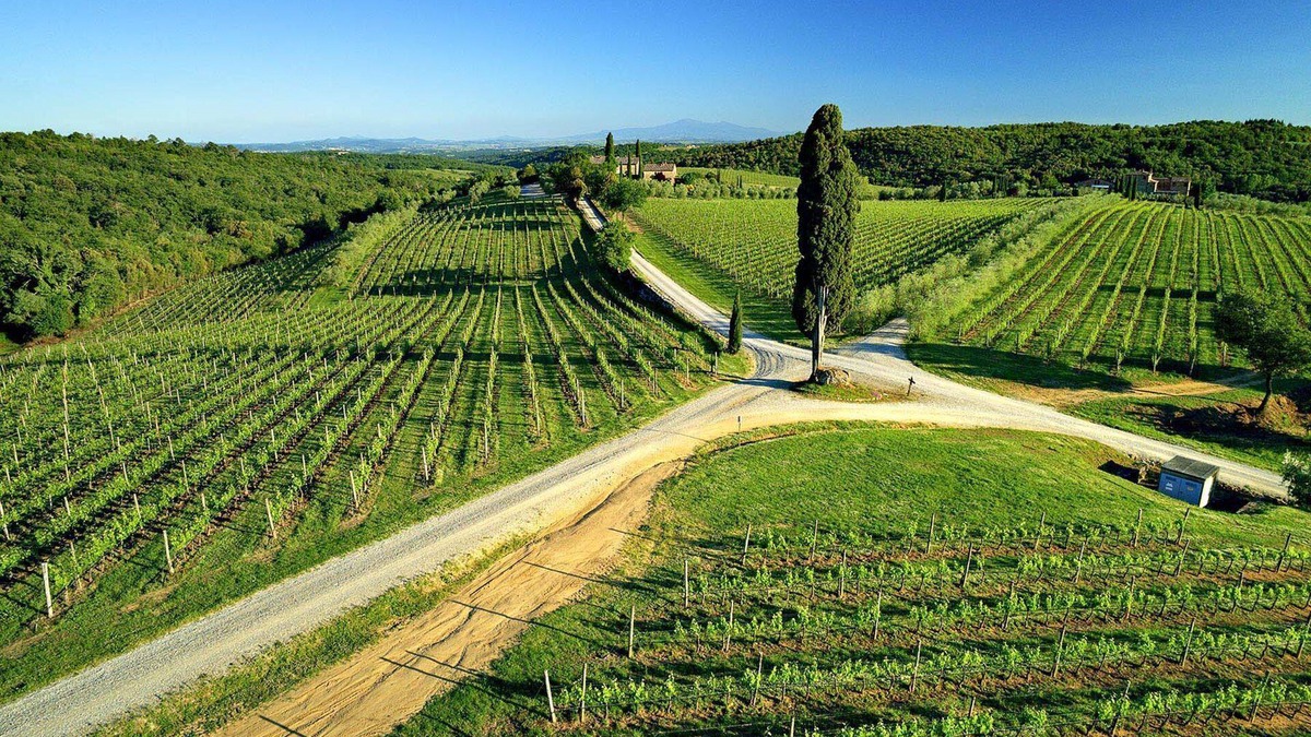 Castelnuovo Berardenga Apartment | Casa Rossella - ArcenoRentalsClub Romantic flat in Chianti Wifi Concierge Pool