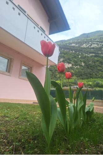 Padergnone House | Casa 'Rosa dei laghi'
