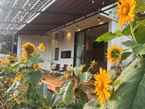 Gia Nghia Apartment | Casa Rosa Homestay