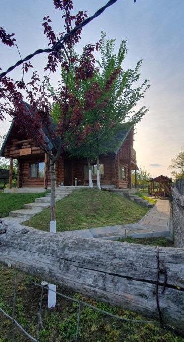 Periam House | Casa Rosa