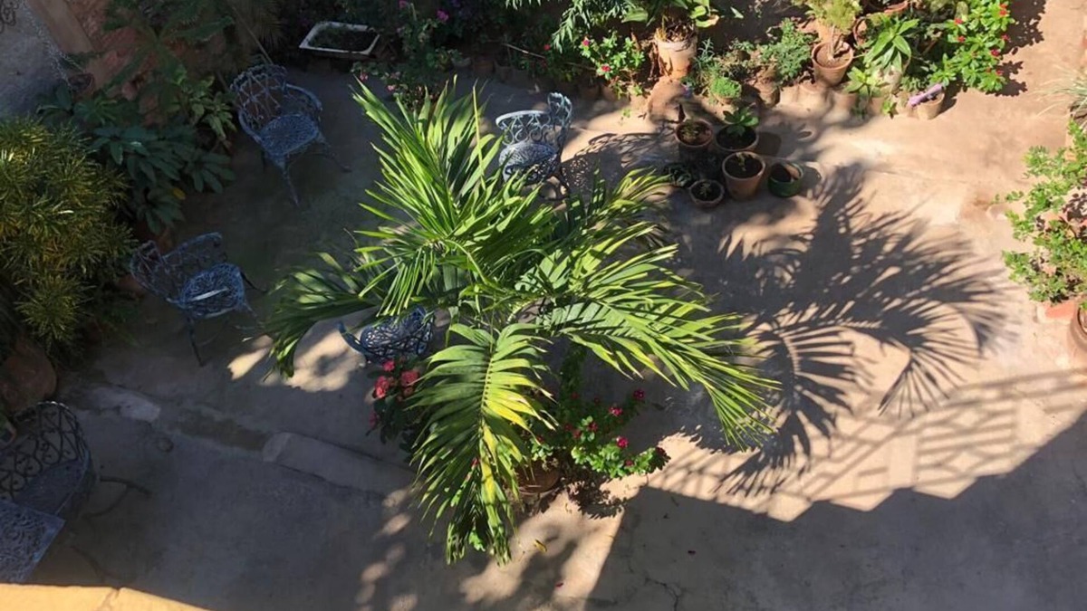 Trinidad Bed & Breakfast | Casa Rosa y Gervasio