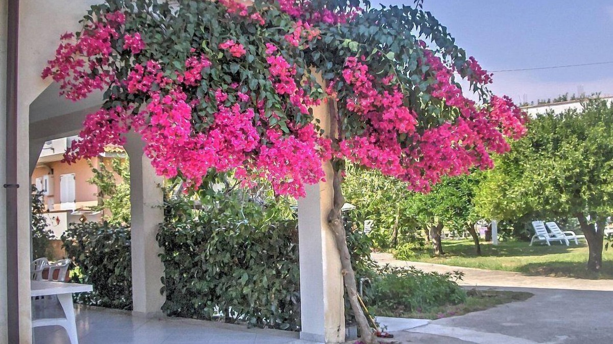 Marina di Ascea House | Casa Rosina: A welcoming apartment that is part of a villa situated at a short distance from the beach, with Free WI-FI.