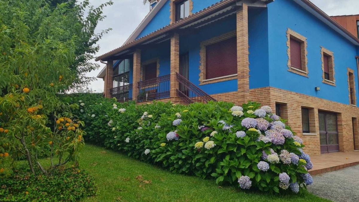 Ponte Sampaio House | Casa Rural Acogedora Y Traquila