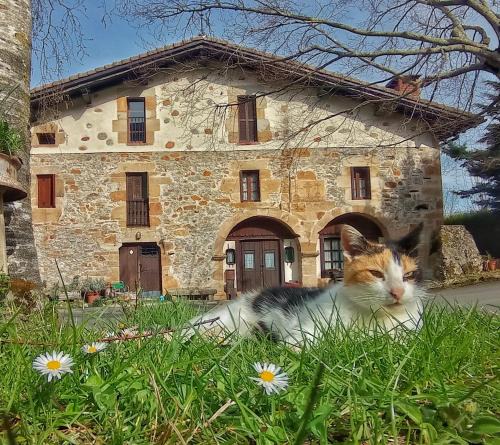 Eskoriatza House | Casa Rural Areano