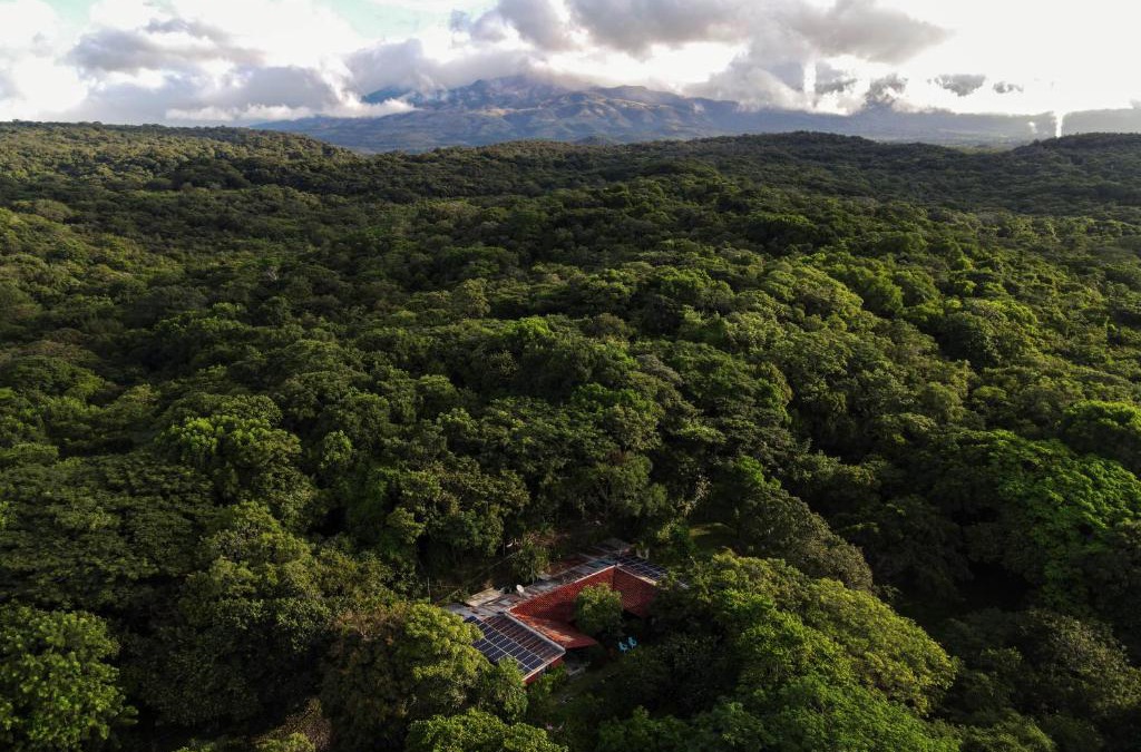 Curubande Bed & Breakfast | Casa Rural Aroma de Campo