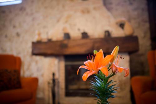Belmonte House | Casa Rural Casona la Beltraneja