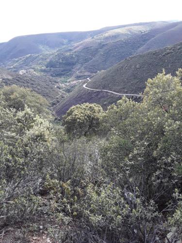 San Miguel de Valero House | Casa Rural Costanilla
