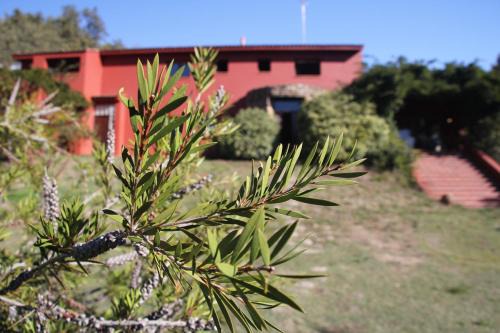 Villanueva De La Vera Apartment | Casa rural Entreaguas