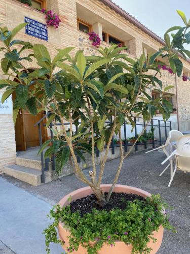 Torrellas House | Casa Rural Hospital de las Palabras
