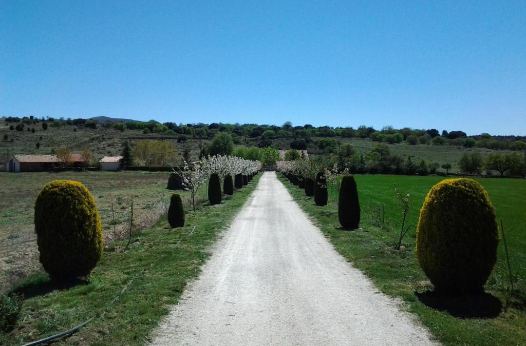 Morella House | Casa Rural Torre Gargallo