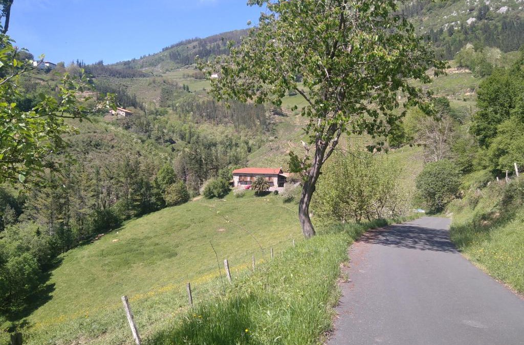 Azkoitia House | Casa rural Zulueta
