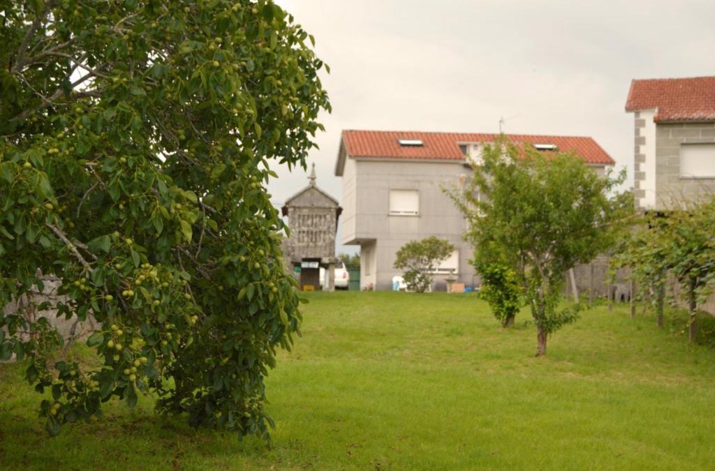 Samieira House | Casa Samieira