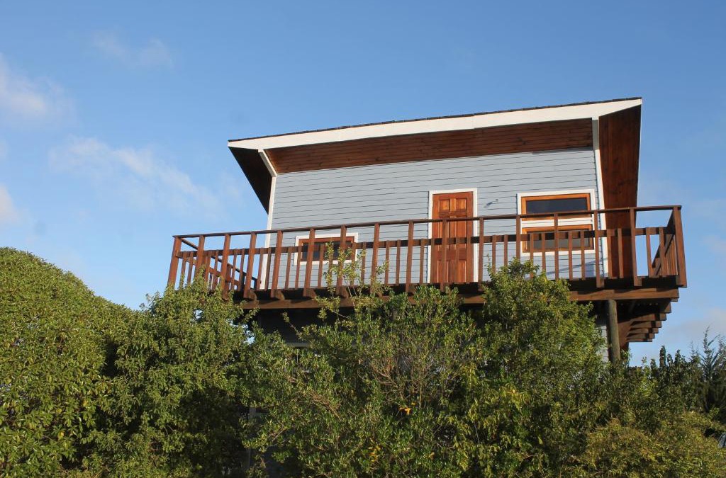 San Antonio House | Casa San Juan