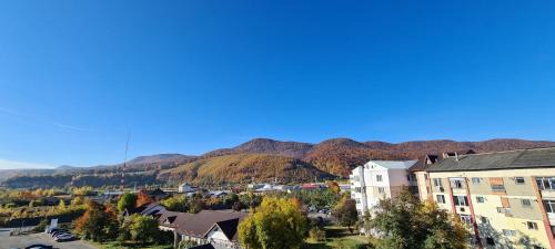 Piatra Neamt Apartment | Casa Suzana