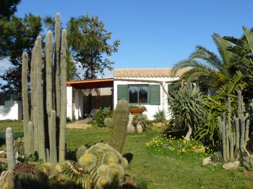 Castelvetrano House | Casa vacanza nella riserva naturale del Belice