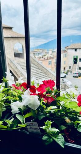 Anagni House | Casa vacanza Città dei Papi Anagni