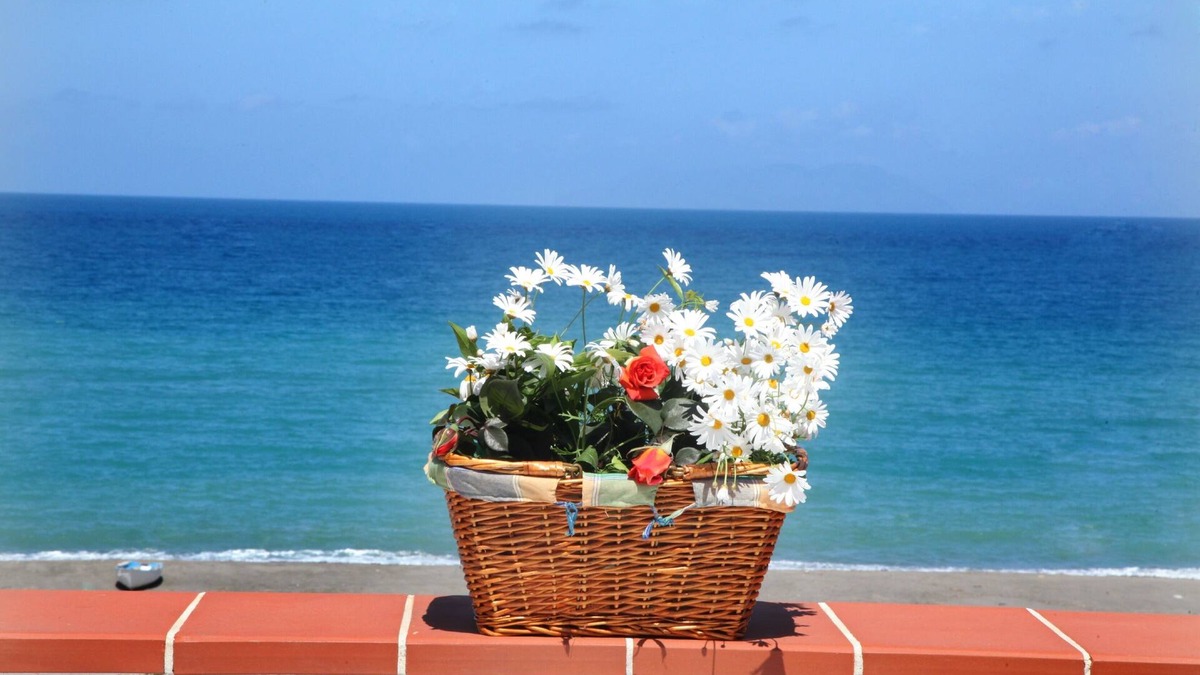 Marchesana Apartment | Casa Vacanze a soli 50 mt dal mare con terrazzo vista mare.