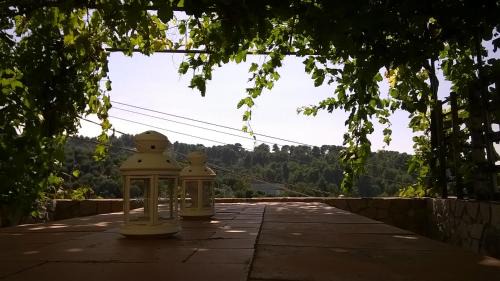 Vico del Gargano Cabin | CASA VACANZE " da Giu' "