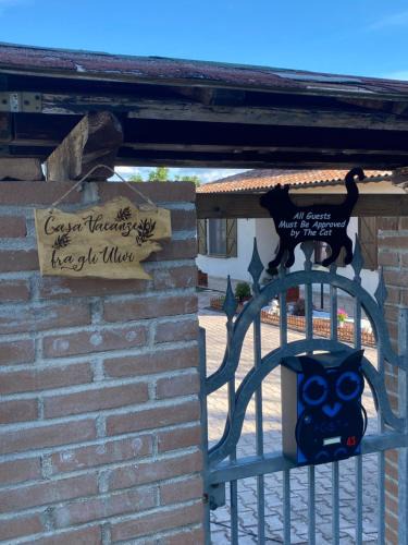 Nocera Umbra House | Casa vacanze fra gli ulivi