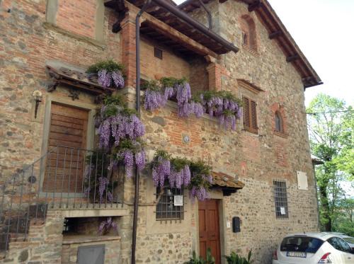 Laterina House | Casa Vacanze Il Glicine