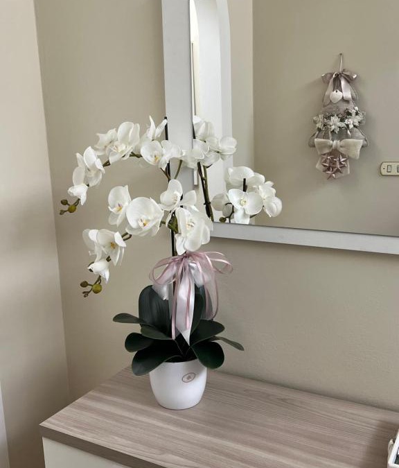 Soci Apartment | Casa vacanze l’orchidea