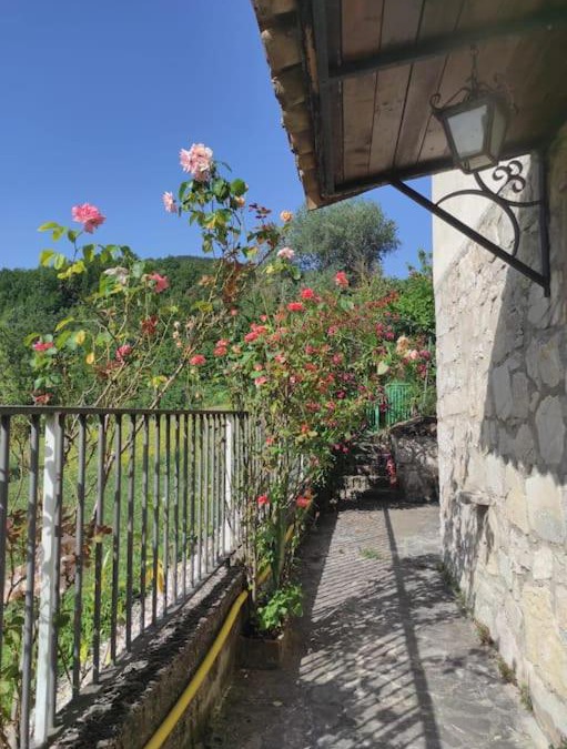 Rionero Sannitico House | Casa Vacanze Le Vigne