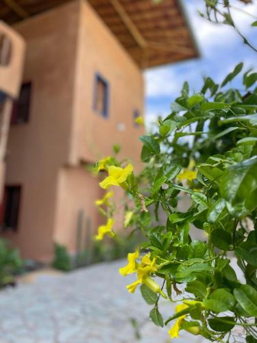 Puerto Colombia Hotel | Casa Valhalla Choroni