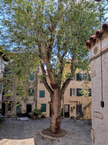 Grado Historic Centre Apartment | Casa Vianella