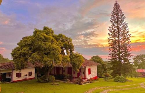 Pradera Bed & Breakfast | Casa Vieja Mountain Lodge