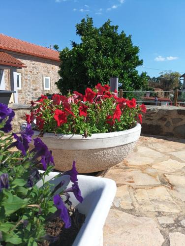 Pedrogao Grande Apartment | Casa Virginia Wellness House