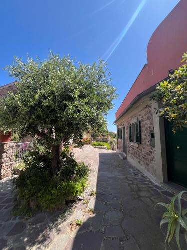 Capraia Isola House | Casa vista Castello