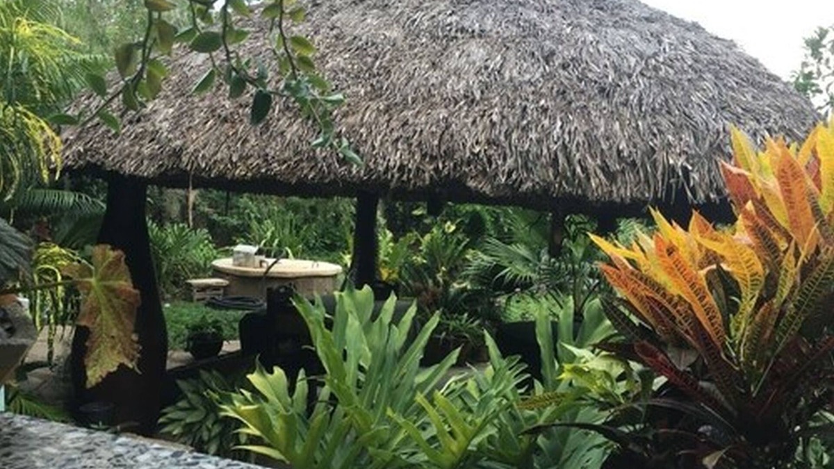 Soroa House | Casa Vivo