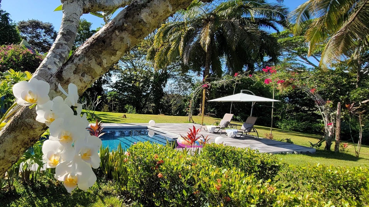 Langostino Villa | Casa Zenn : Beautiful Hill-top Villa nbooking from 9th-15th March plus 2 cats.