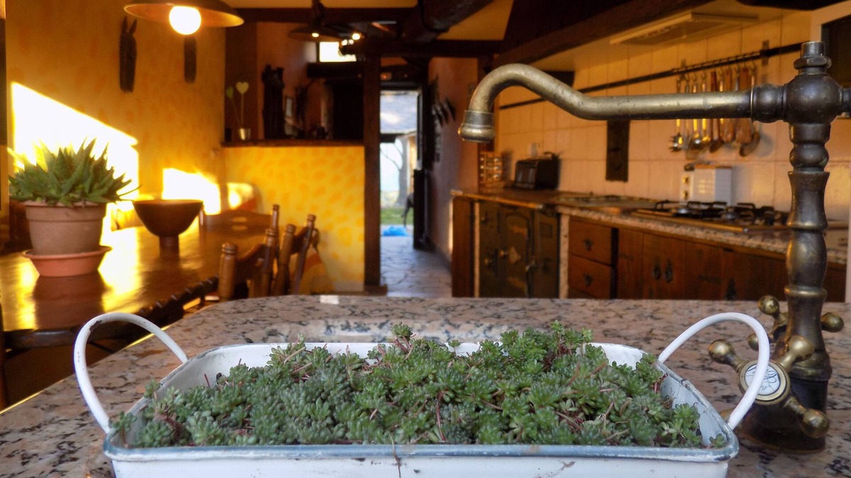 Vegadeo House | CasaBioxana holiday home. it is
