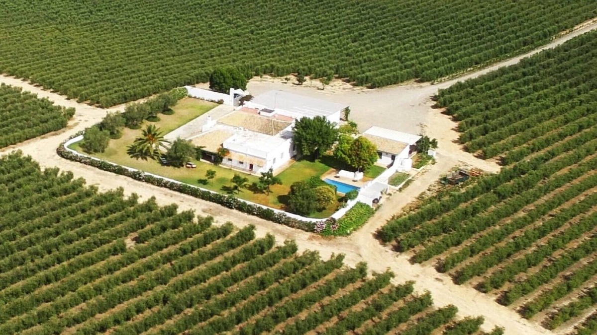 Pilas House | Casablanca: Rest among olive trees