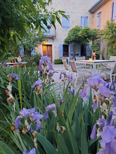 Refrontolo House | Casadesergio