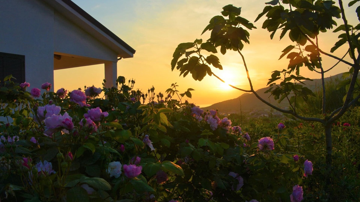 Castellabate House | Casale Dionisia, Iris Apartment: very cozy, quiet and scenic