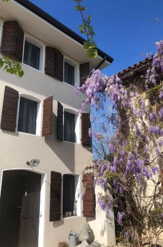 Caneva Villa | Casale nel mezzo dei vigneti
