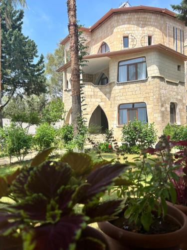 Artikli Hotel | Casalita Hotel