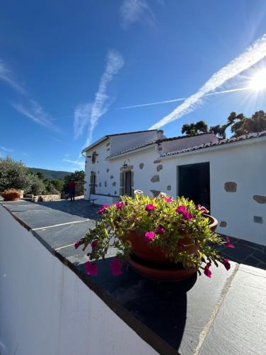 Marvao House | Casanova Country Villa