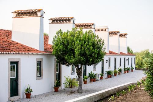Golega House | Casas da Piedade