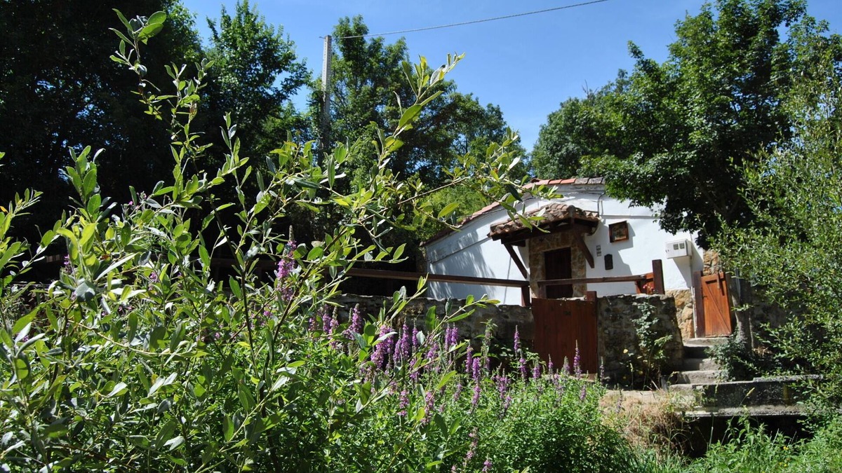 Reocin de los Molinos House | Casas Pin for 8 people