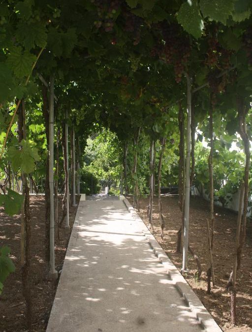 Amiais de Baixo House | CasaTioManel