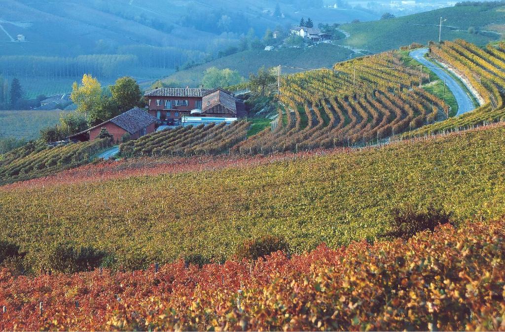 Serralunga d'Alba House | Cascina Meriame